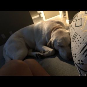 Meet your Posher, Tisha